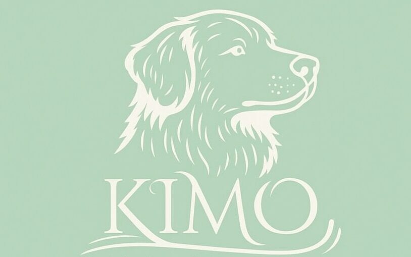 5969f2be ff6b 4583 94f1 02b0ebdb7957