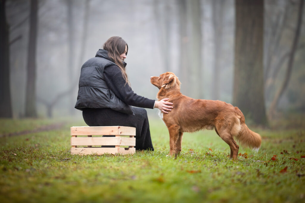 Over mij | KIMO hondengedrag - gedragstherapeut Ilke img 3073