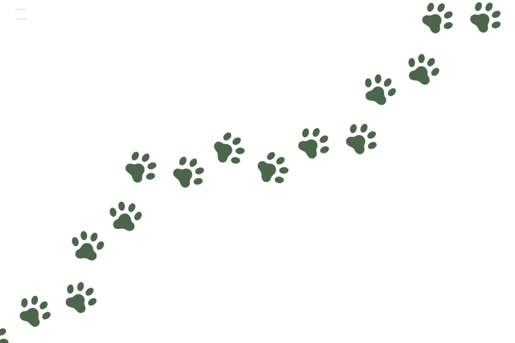 ontwerp zonder titel